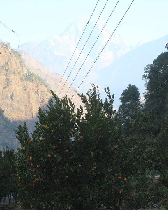 बागलुङका दुई हजार १२० घरमा केन्द्रीय विद्युत् प्रसारण लाइन विस्तार